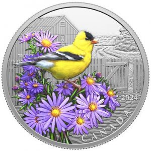 farbenfrohe-voegel-goldzeisig-1-oz-silber-koloriert