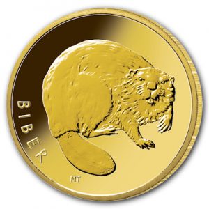 wildtiere-biber-gold