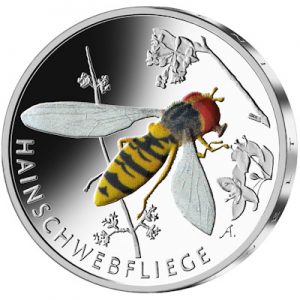 wunderwelt-insekten-hainschwebfliege