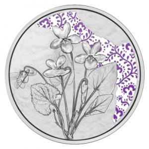 sprache-der-blumen-veilchen-silber-koloriert