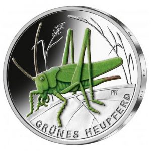 wunderwelt-insekten-heupferd