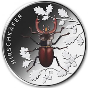 wunderwelt-insekten-hirschkaefer