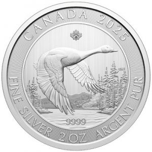 kanadagans-2-oz-silber