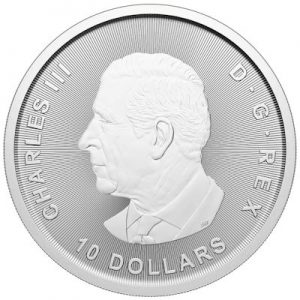 kanadagans-2-oz-silber-wertseite