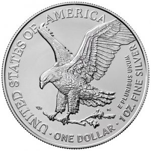 silver-eagle-christmas-2024-polar-lights-1-oz-silber-2