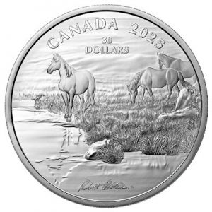 mustang-country-2-oz-silber-wertseite