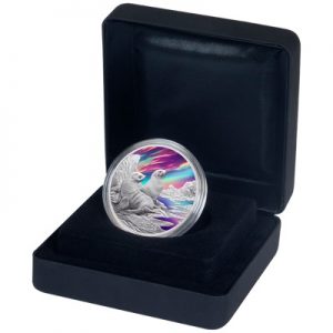 perlmuttwolken-1-oz-silber-koloriert-etui