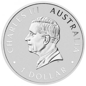 brumby-2025-1-oz-silber-wertseite