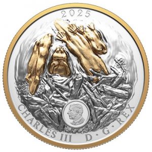 canada-biber-silber-high-relief-wertseite