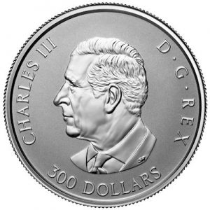 maple-leaf-forever-1-oz-platin-wertseite