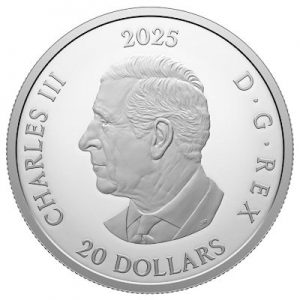 dear-santa-1-oz-silber-koloriert-wertseite