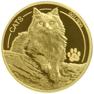 fiji-cats-2025-gold