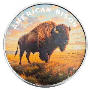 the-wild-bison-1-oz-silber-koloriert