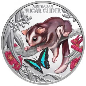 cute-cuddly-sugar-glider-1-oz-silber-koloriert